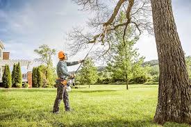 Reliable Milan, MI Tree Removal Services Solutions