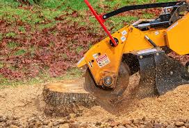 Best Soil Testing and Treatment  in Lan, MI